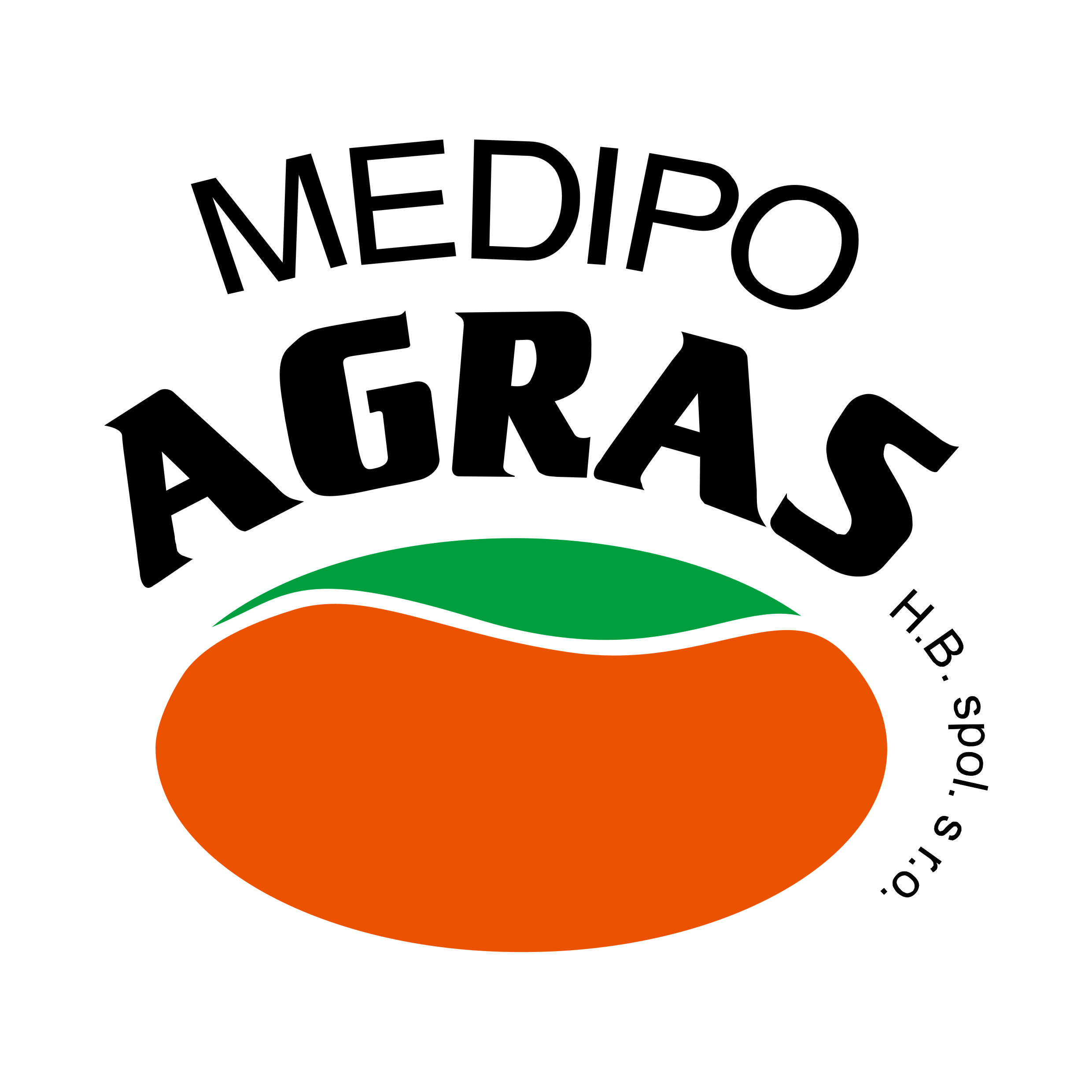 LOGO ma